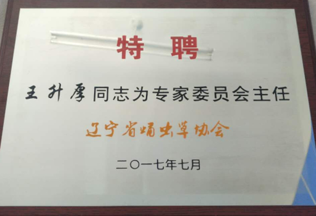 个人证书